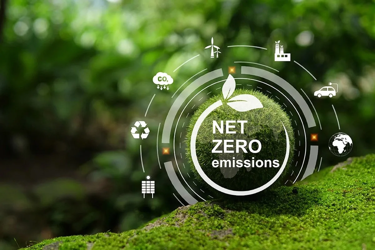 How global companies create ESG-aligned annual reports with net-zero carbon disclosure targets.