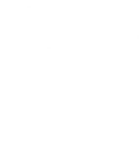 This function is not supported under the current platform setup or operating method.
